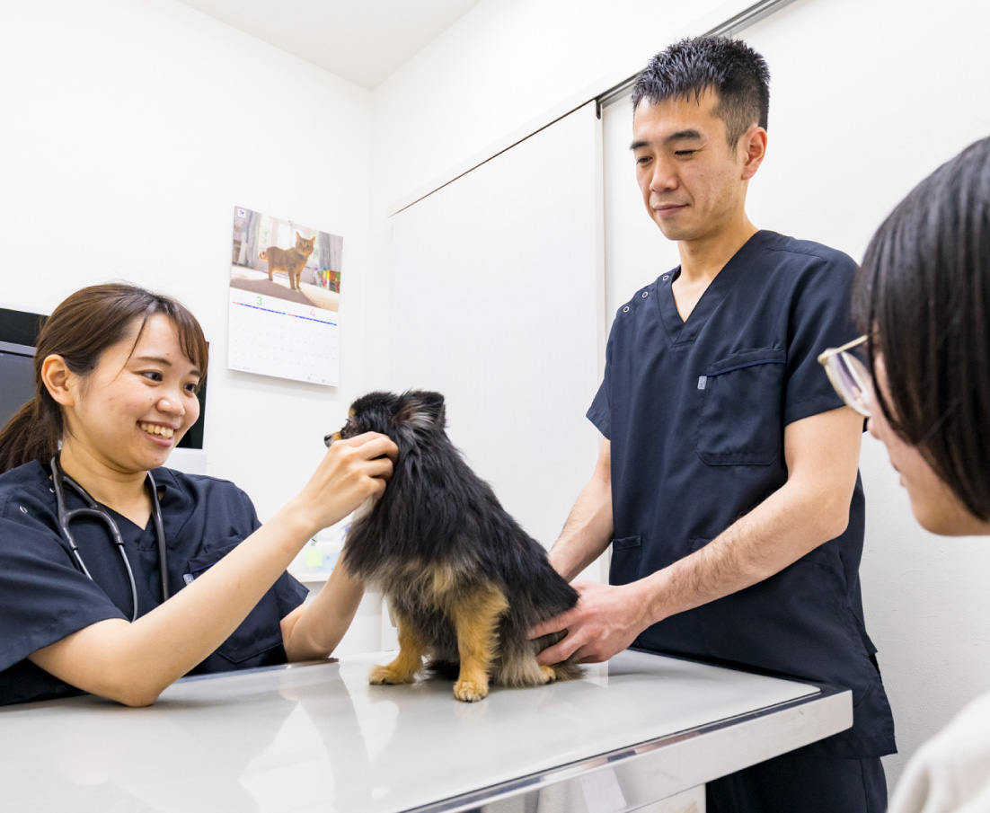 確かな見立てと詳細な検査による 病気の早期発見、早期治療