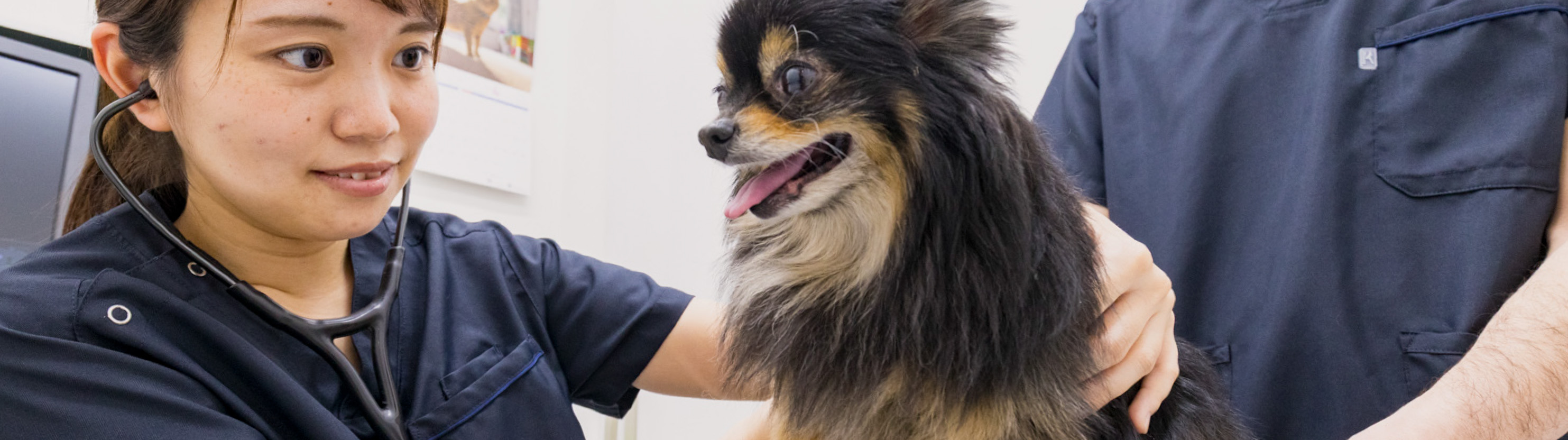 Medical Guide 受診のご案内